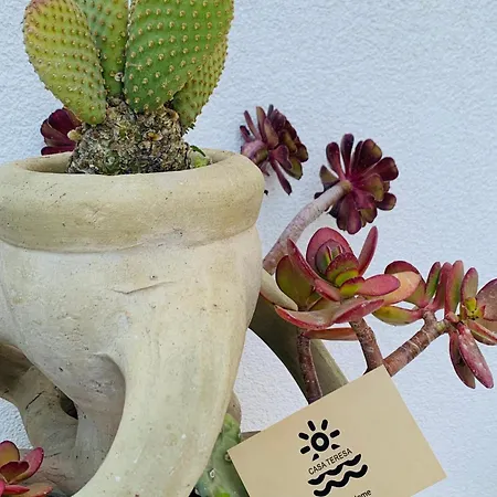 Lejlighed Casateresa Mare